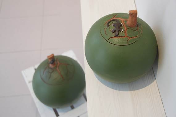 IMG_9244_redimensionar