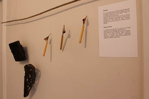 IMG_2427_redimensionar